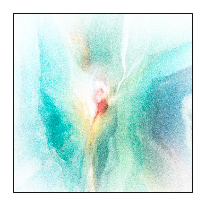 170/365