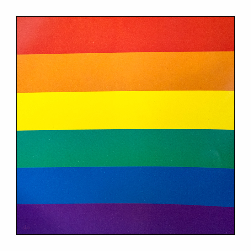 175/365 Cher – Pride © 2025 Sabine Lommatzsch