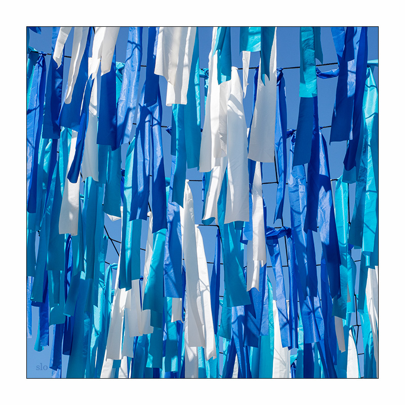 176/365 Beth Nielsen Chapman – Beyond The Blue © 2026 Sabine Lommatzsch