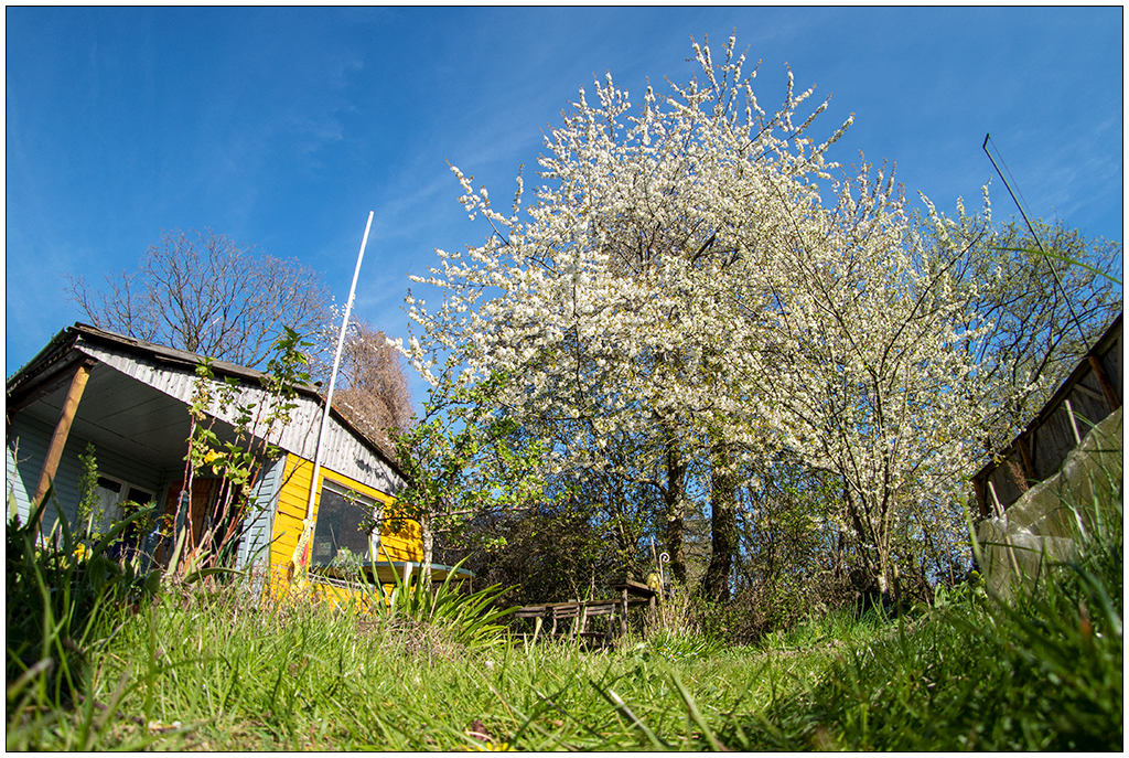 176 In der Bünte – Fisheye I