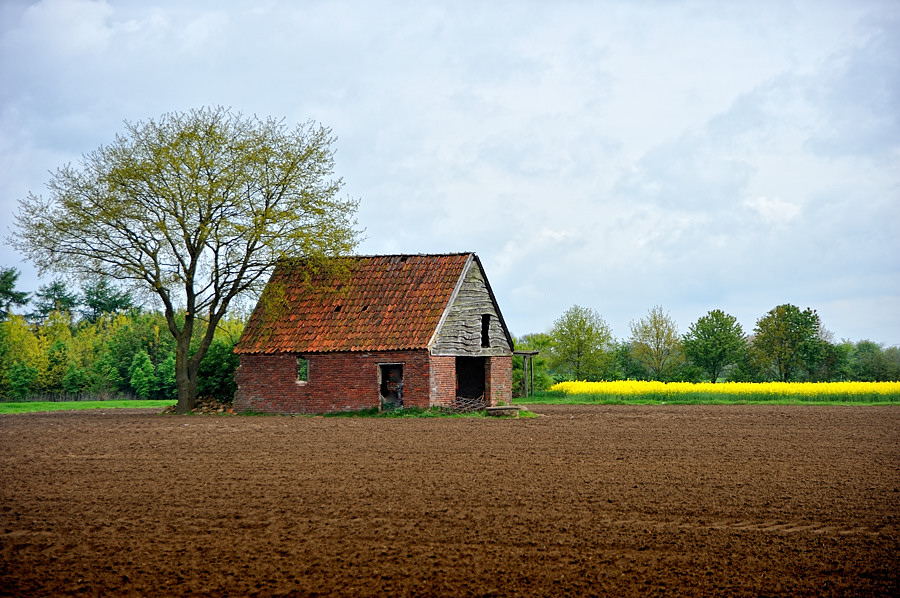 17830