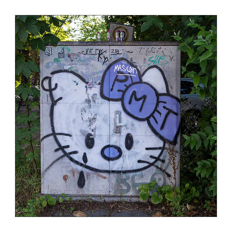 179/365 Element of Crime – Unscharf mit Katze © 2026 Sabine Lommatzsch