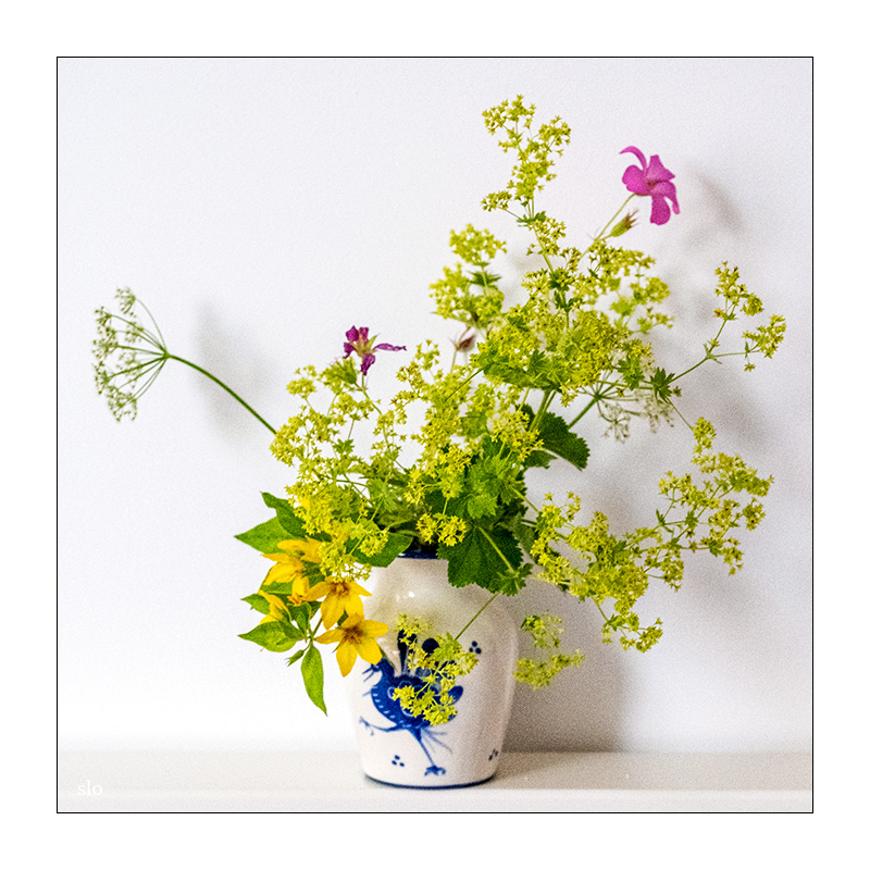 179/365 Lenny Kravitz – Flower Child © 2025 Sabine Lommatzsch