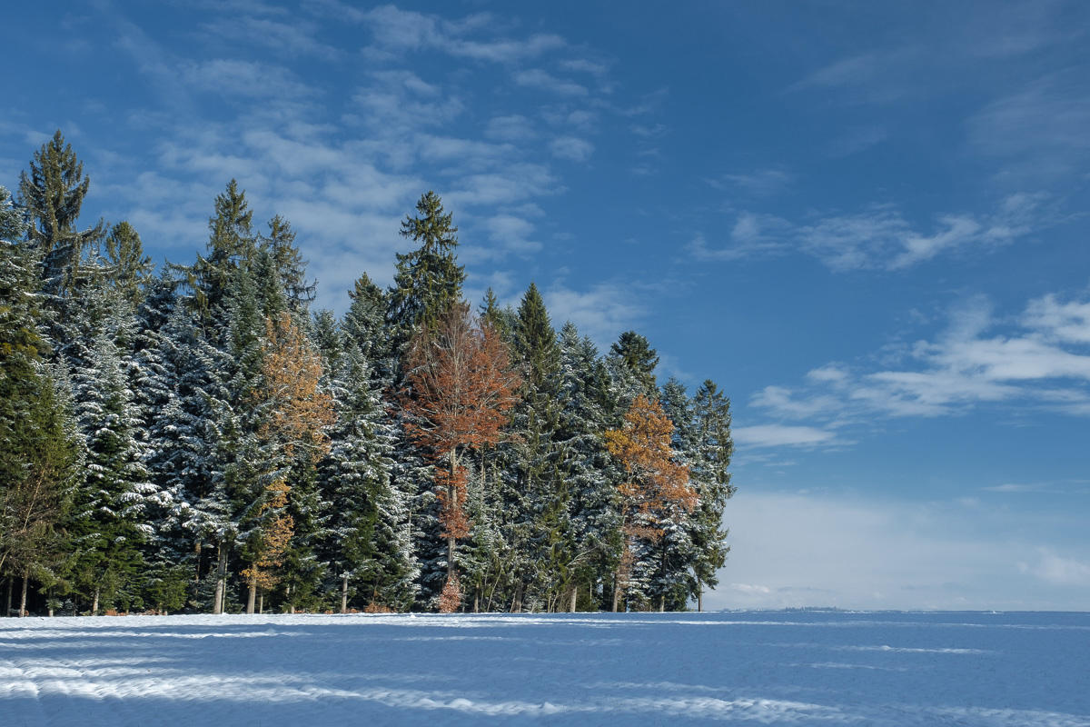 17XT2074 Bearbeitet