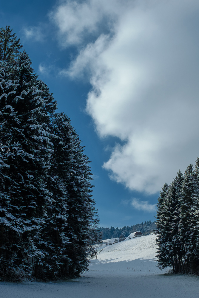 17XT2083 Bearbeitet