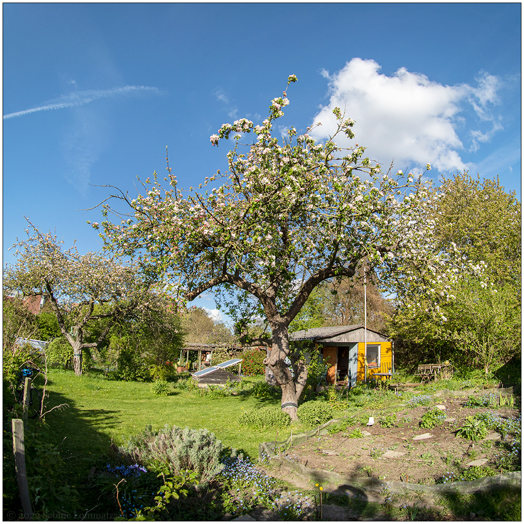 180  In der Bünte – Fisheye-Panorama
