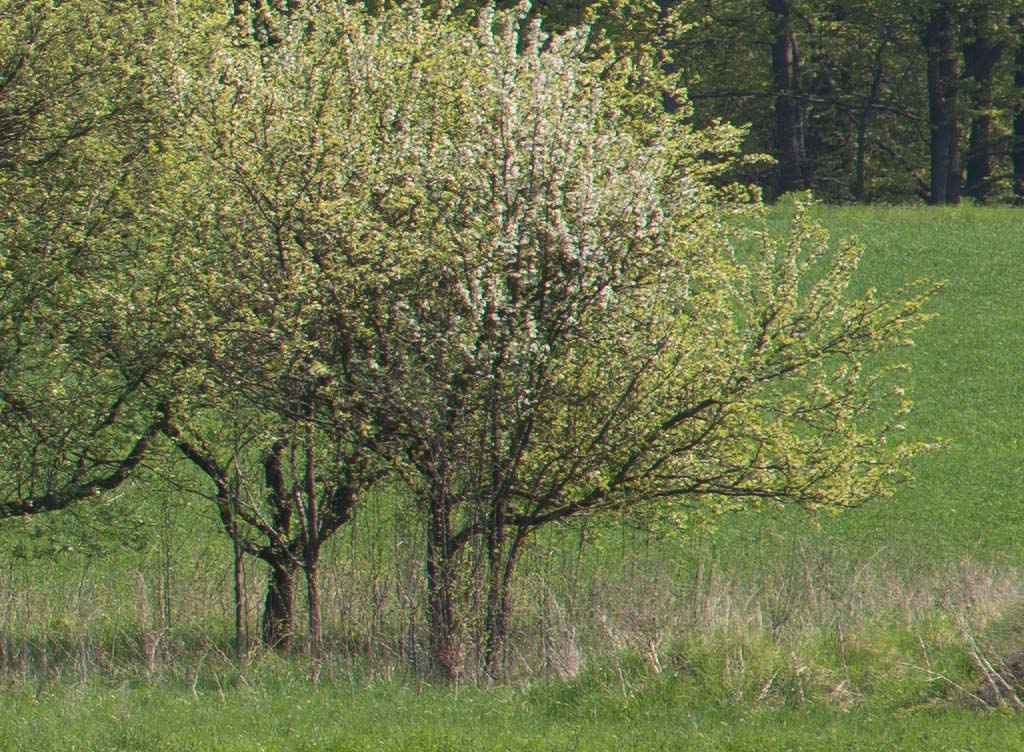 180mm 28 ais 80 rand rechts 45 08 100 9971