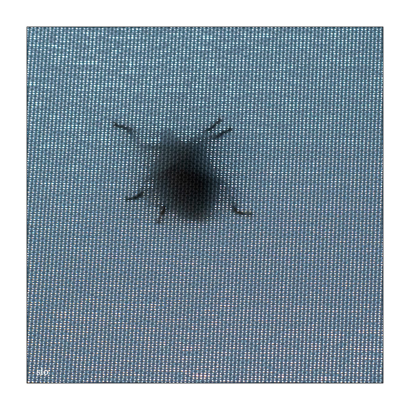 182/365 a-ha – Mother Nature Goes to Heaven © 2026 Sabine Lommatzsch