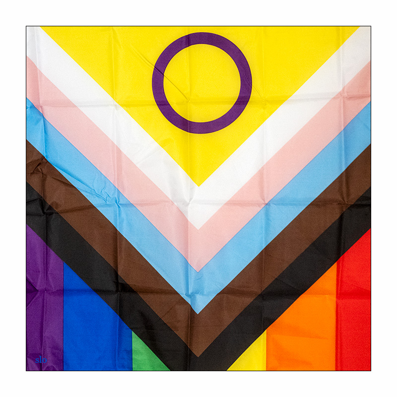 183/365 Mariybu feat. REEZA – LAUT + QUEER © 2025 Sabine Lommatzsch