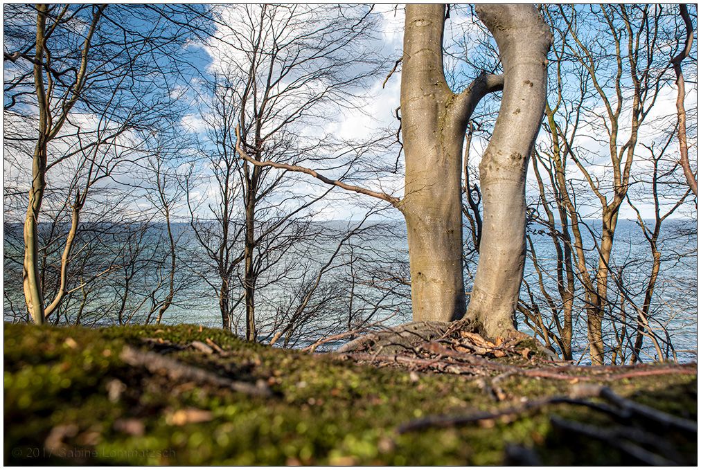 185 Steilküste bei Dänisch-Nienhof (2017 mit Nikon D750)
