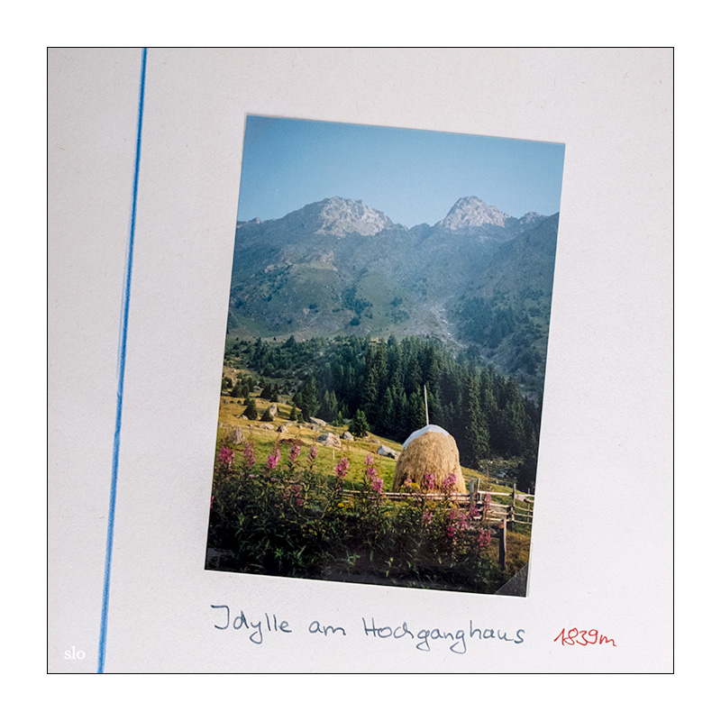 188/365 Fräulein Menke – Hohe Berge © 2025 Sabine Lommatzsch