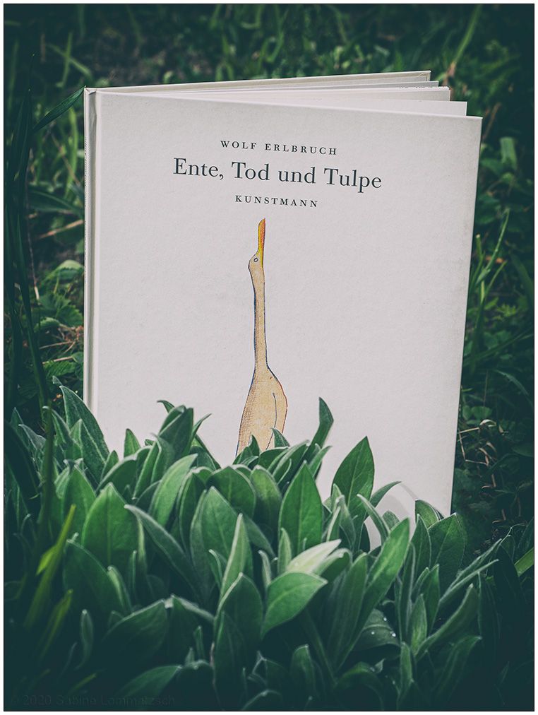 189 Ente, Tod und Tulpe