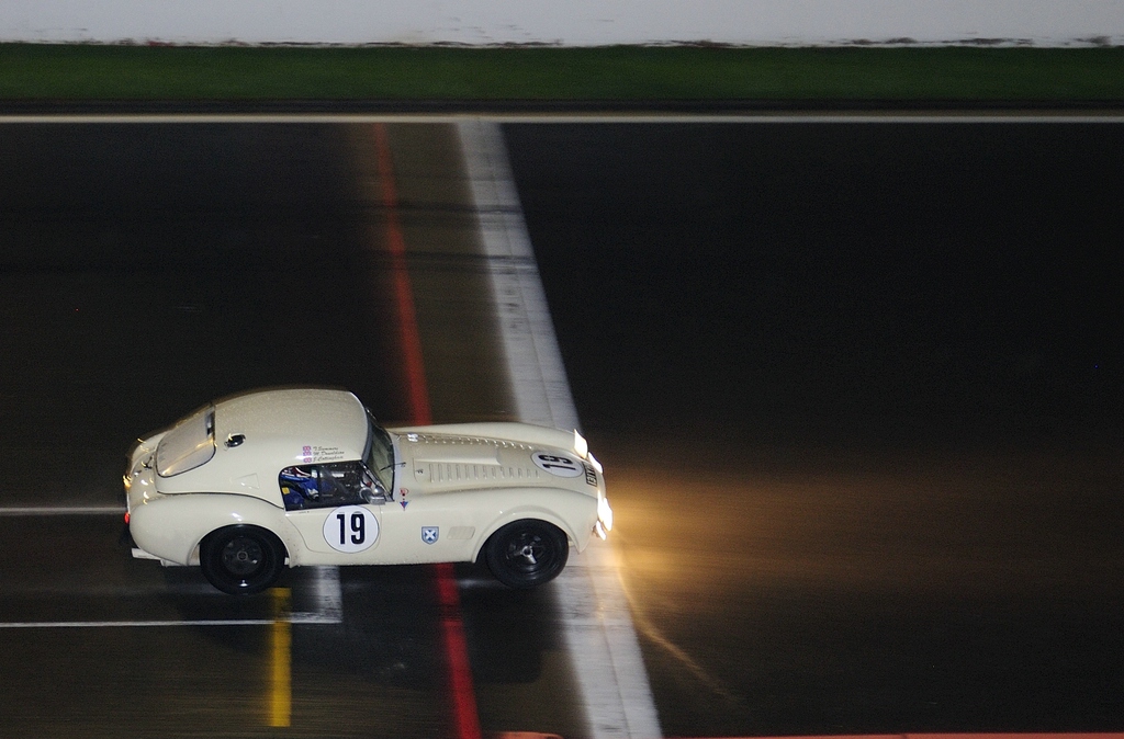 19 SHELBY Cobra