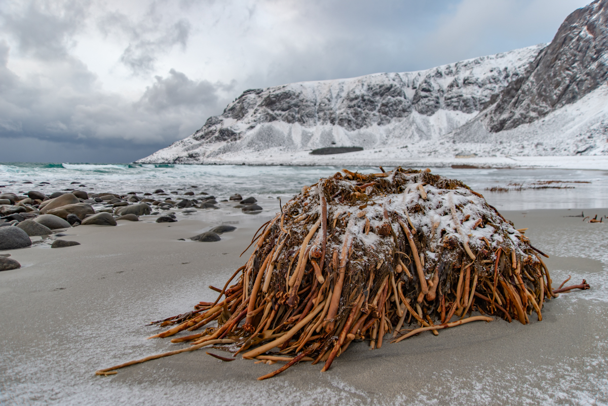 190305 Lofoten  9