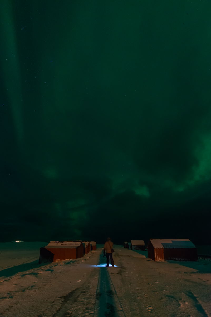 190306 Lofoten  28