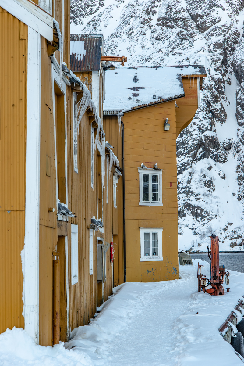 190308 Lofoten 13