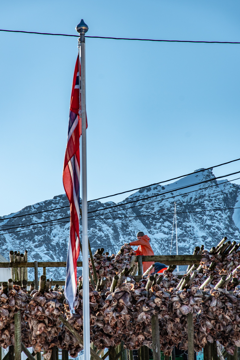 190310 Lofoten 20