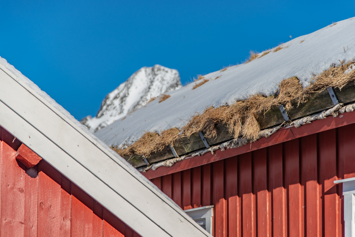 190310 Lofoten 7