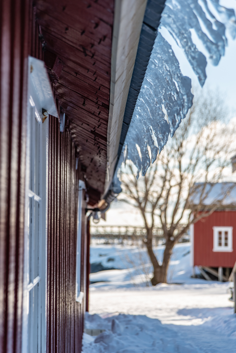 190310 Lofoten 9