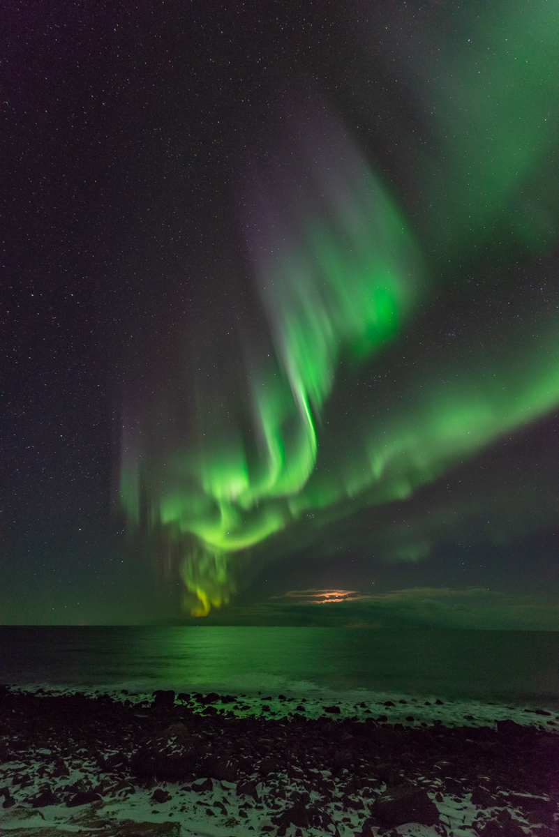 190311 Lofoten 29