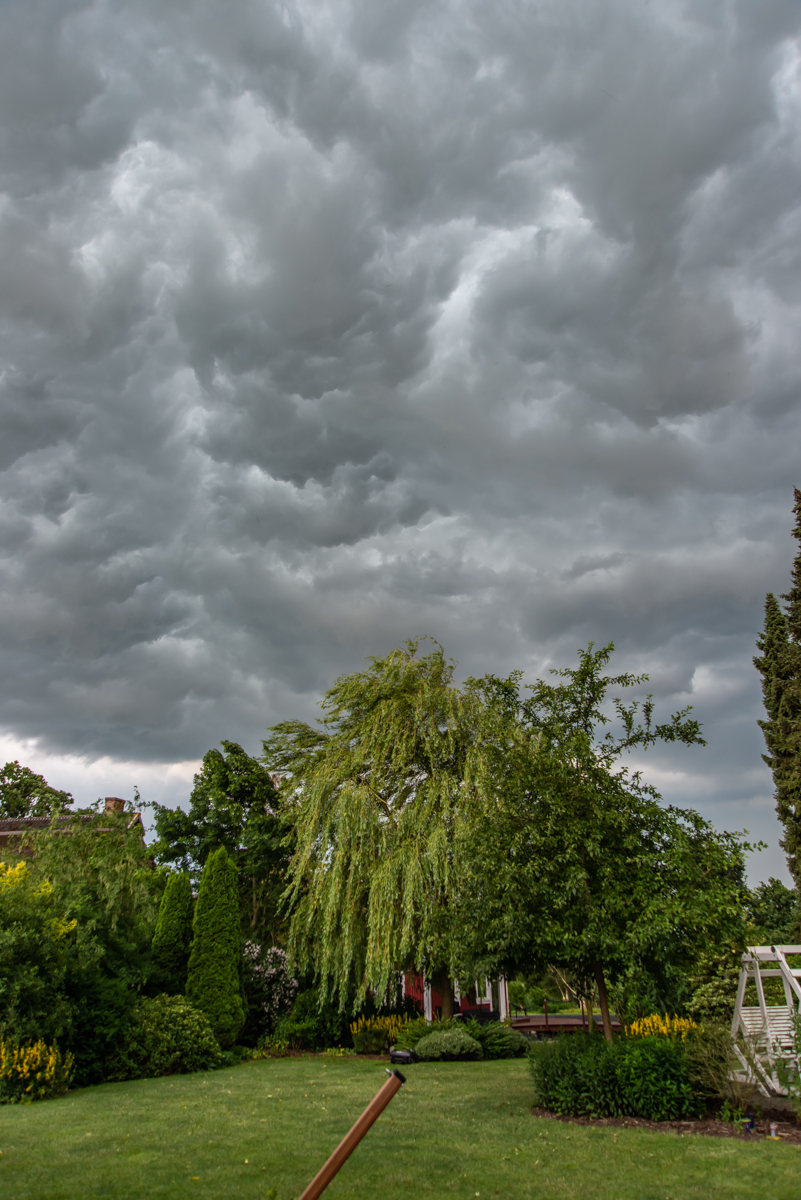 190619 Gewitter Wiemsdorf-1.jpg