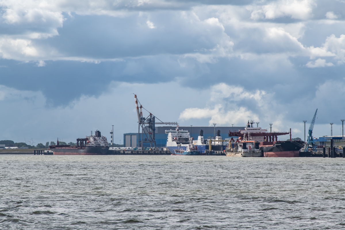 190708 ALKOR-8.jpg