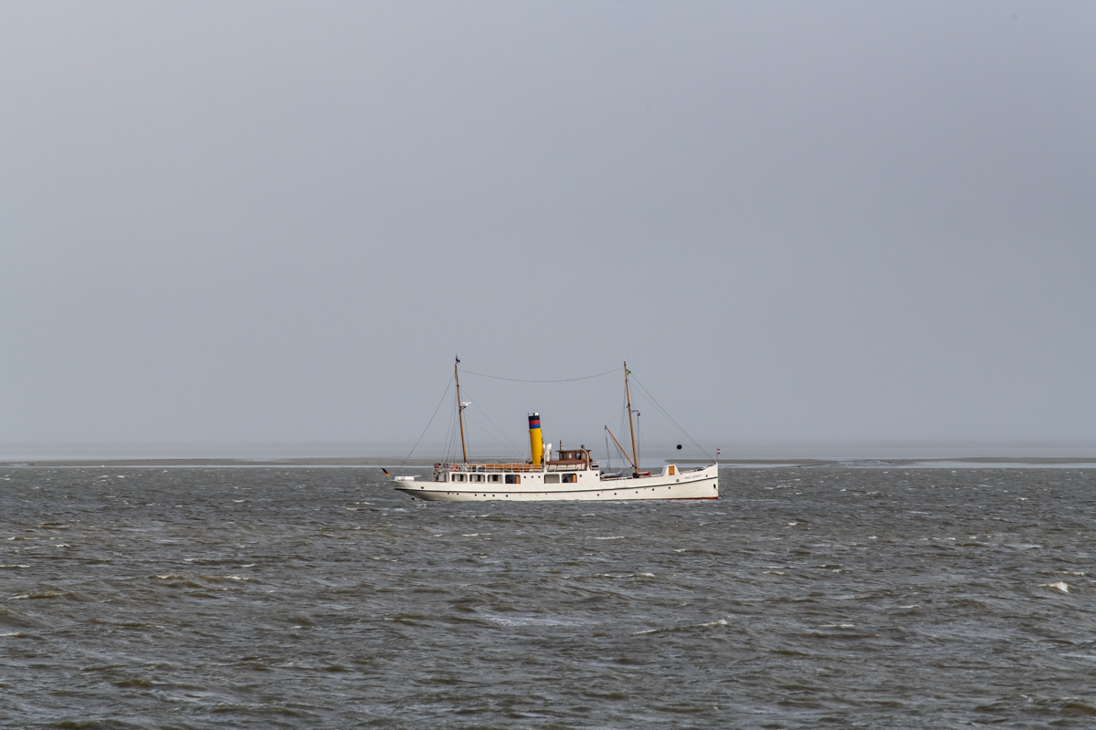 190719 Alkor-2.jpg