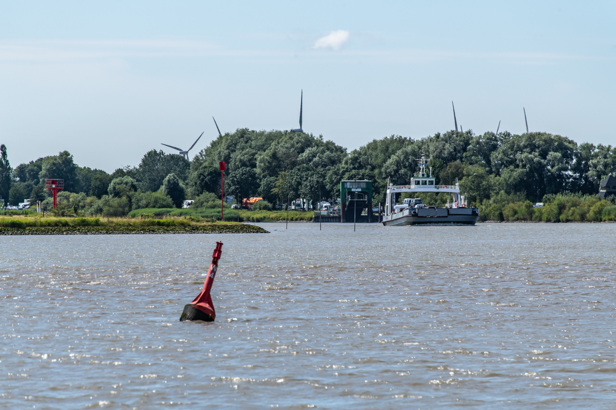 190719 Alkor-33.jpg