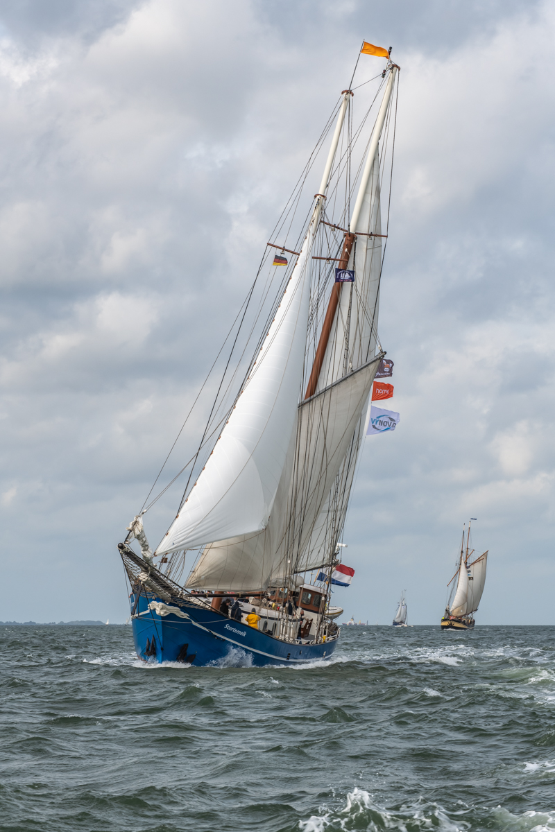 190928 WHV Sailing Cup-12.jpg