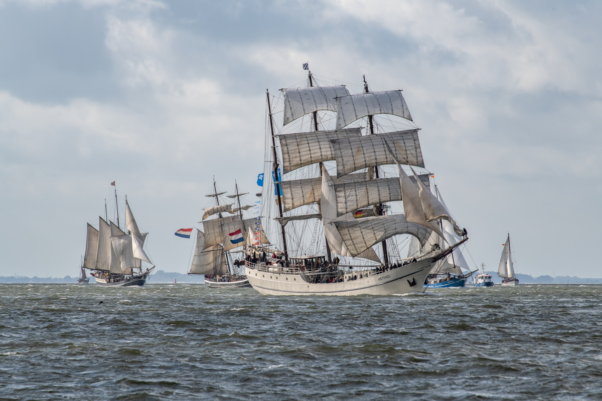 190928 WHV Sailing Cup-6.jpg