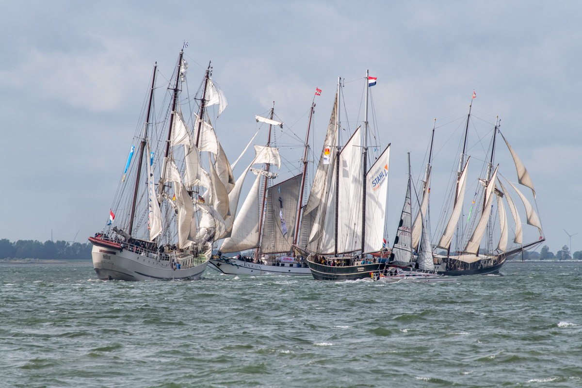 190928 WHV Sailing Cup-9.jpg