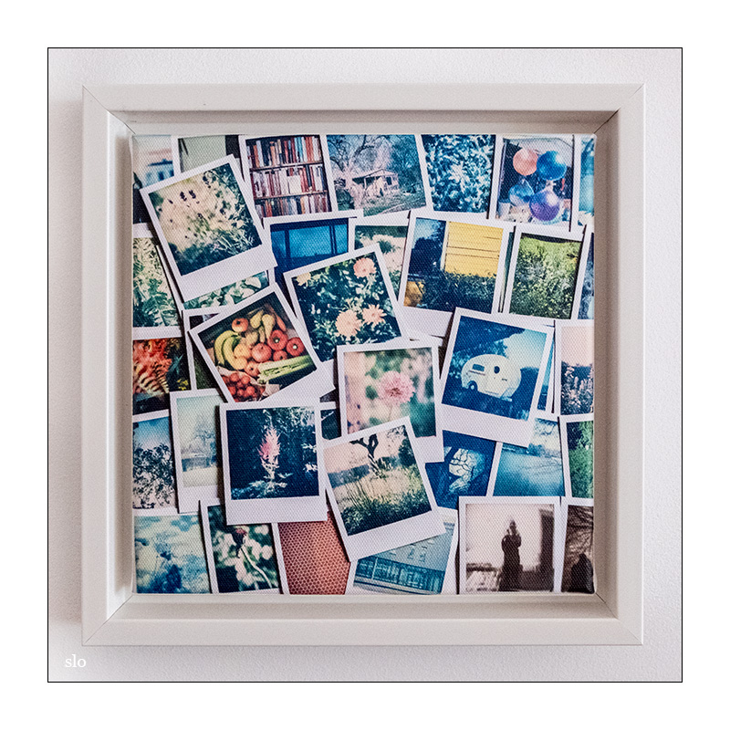 194/365 Frank Turner – Polaroid Picture © 2026 Sabine Lommatzsch