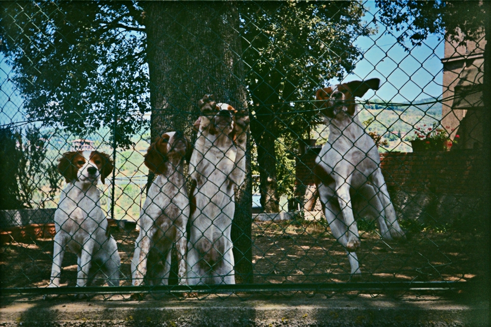 1993-08 San Baronto_022_1000.jpg