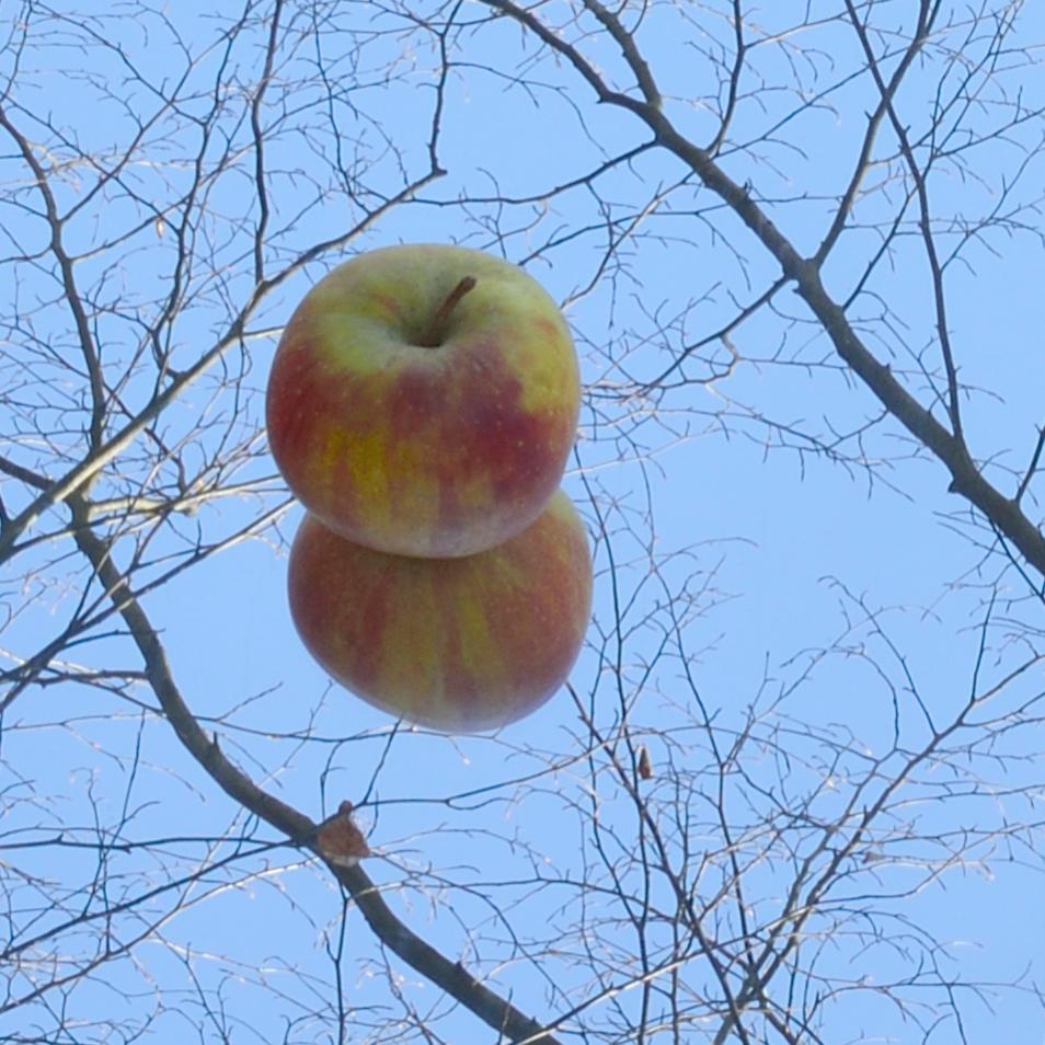 1OB7878Apfel klein web