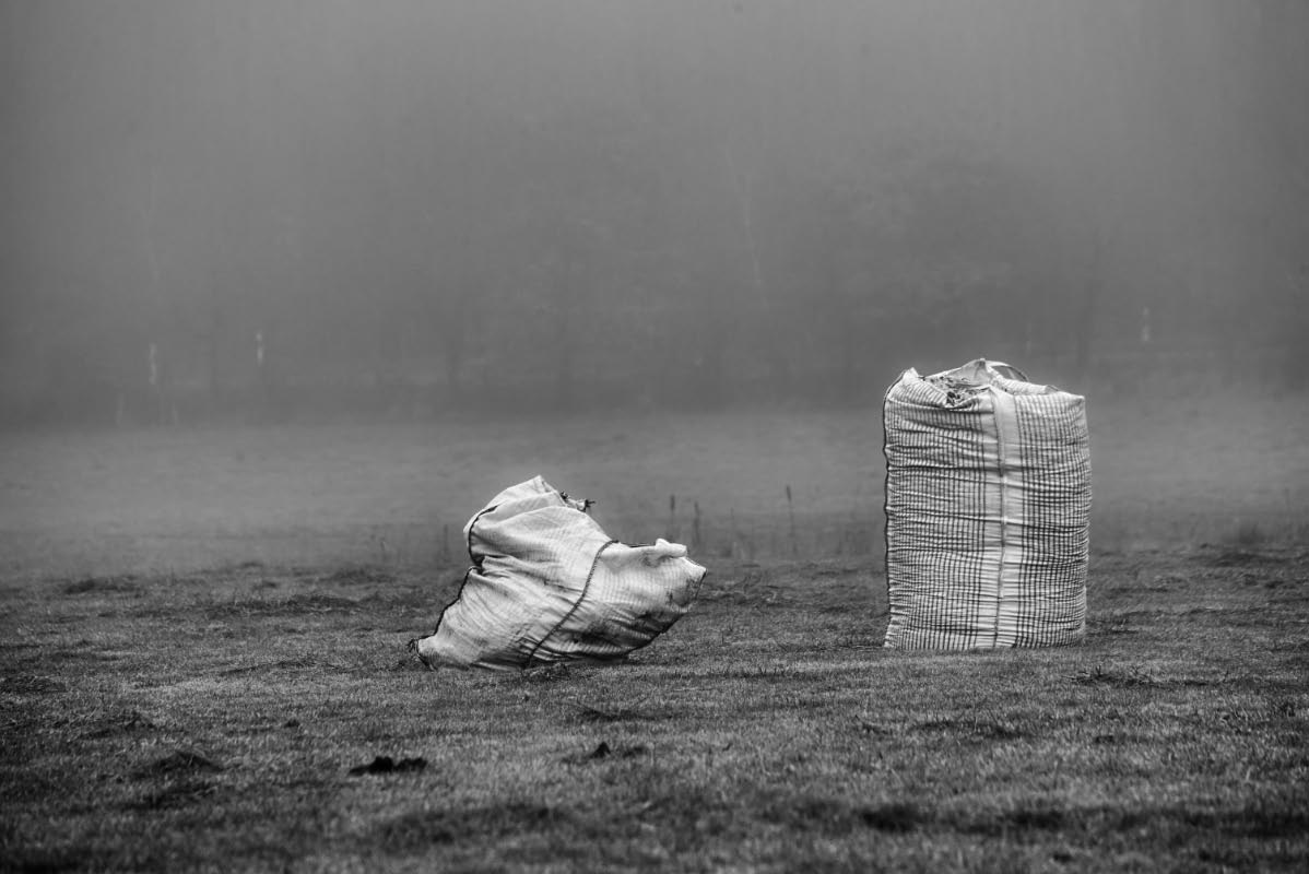 2 Säcke BW_2.jpg