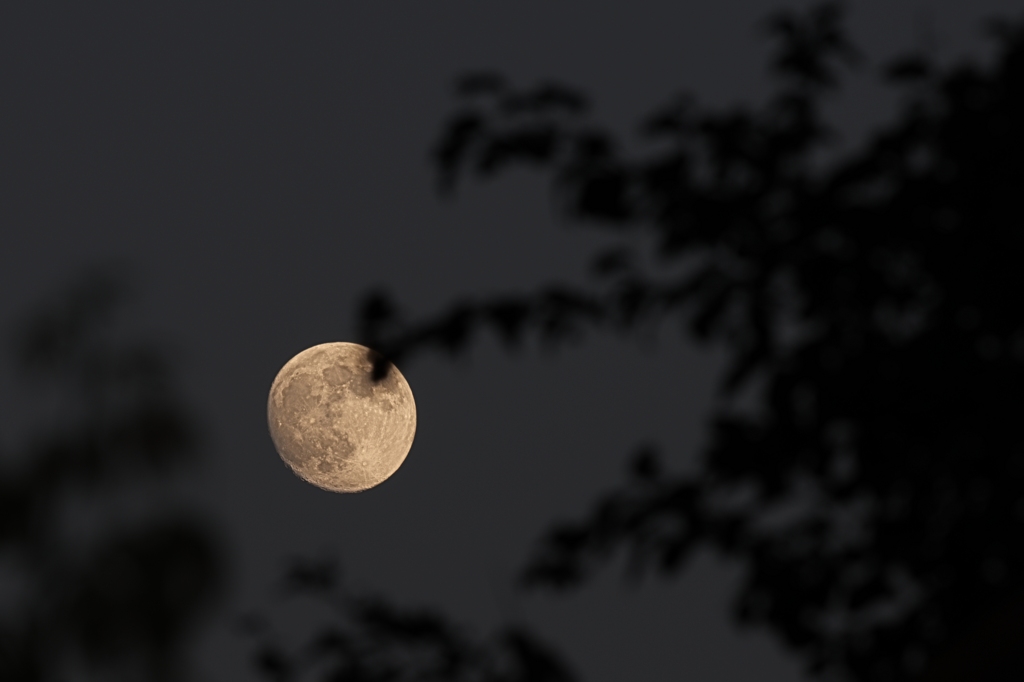 2 Tage vor Vollmond im Juni / 2013