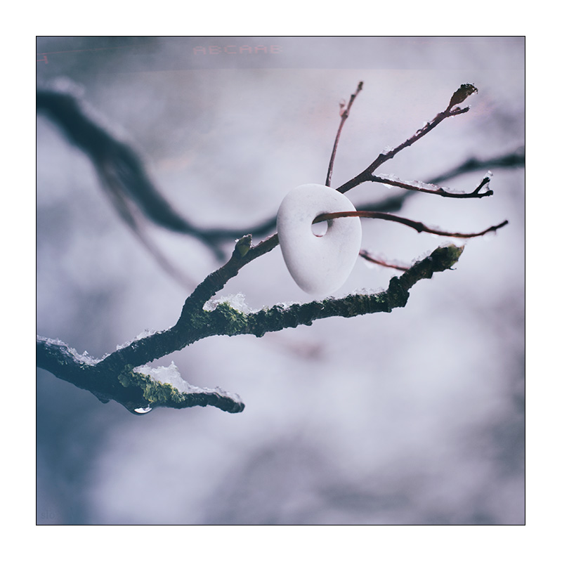 20/365