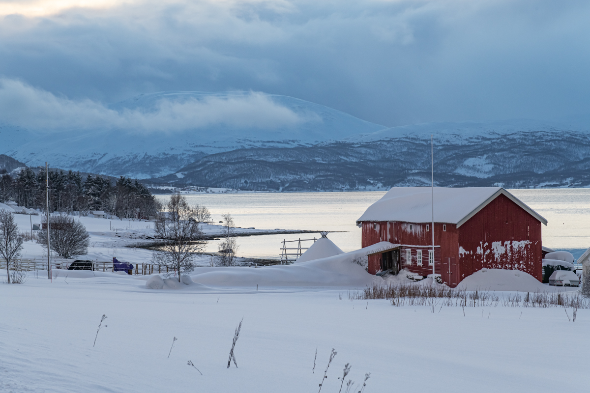 200203 Tromsø-7.jpg