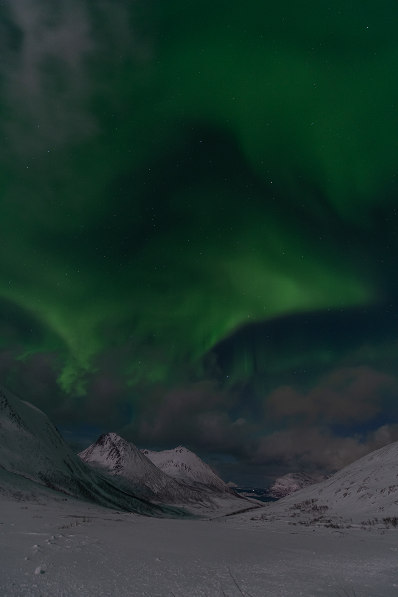 200204 Tromsø-21.jpg