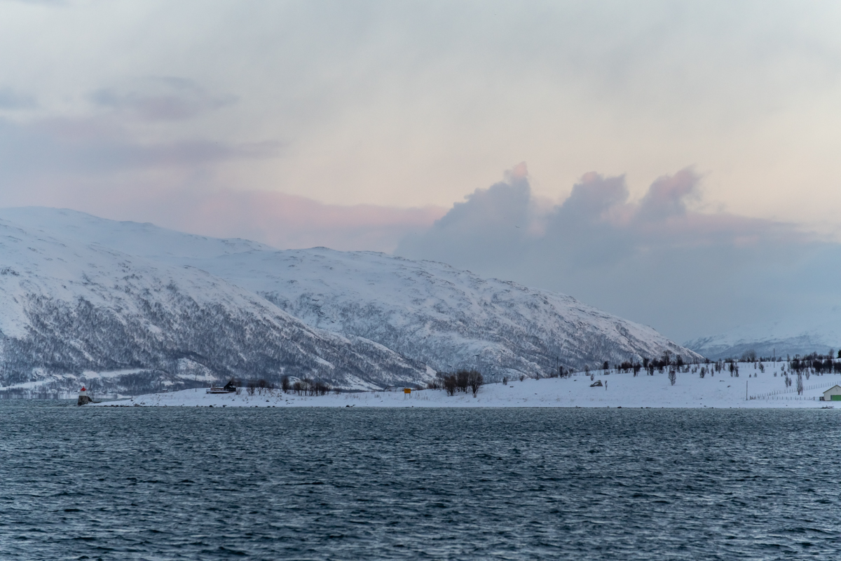 200206 Tromsø-11.jpg