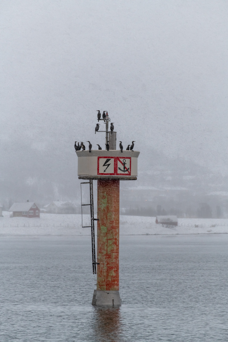 200206 Tromsø-43.jpg