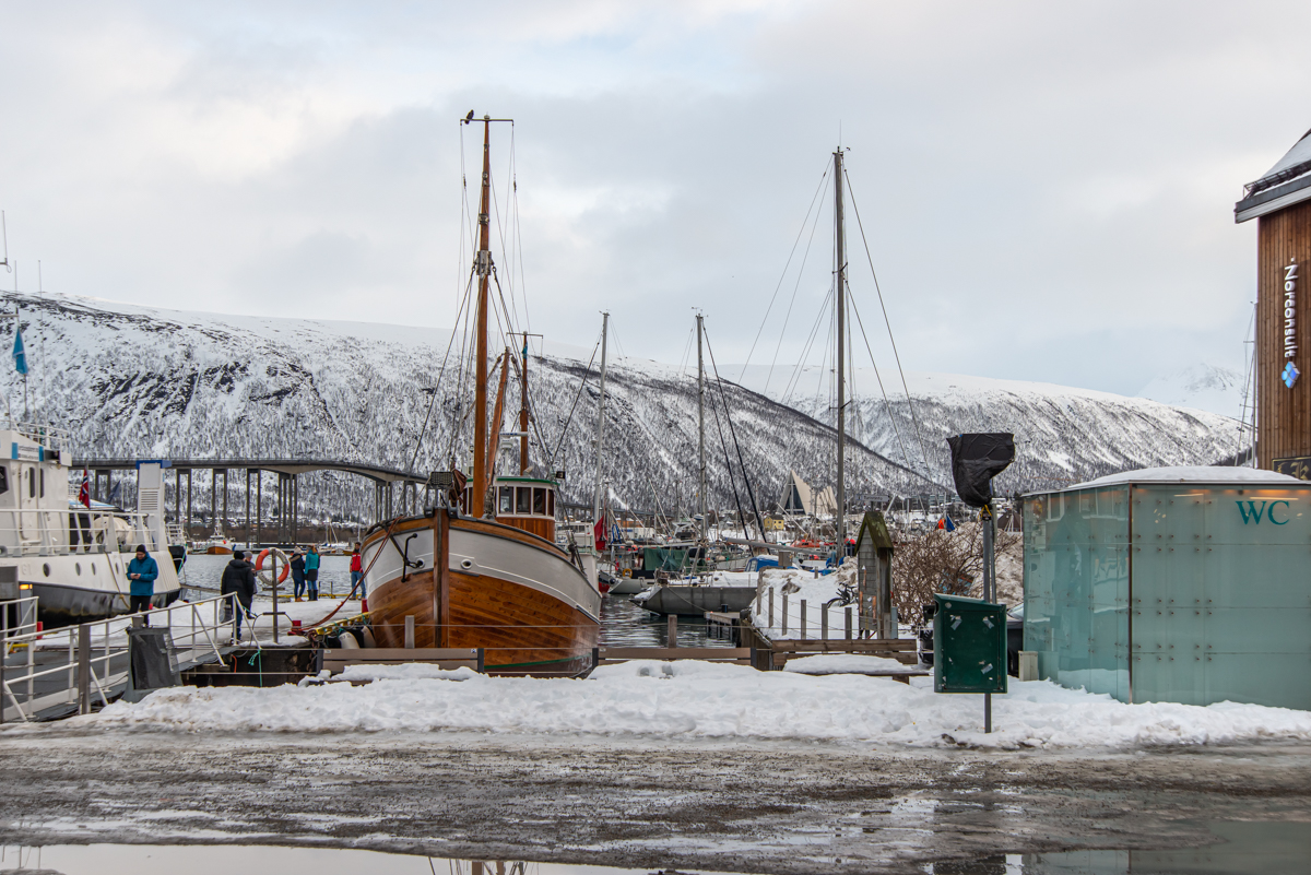 200208 Tromsø-18.jpg