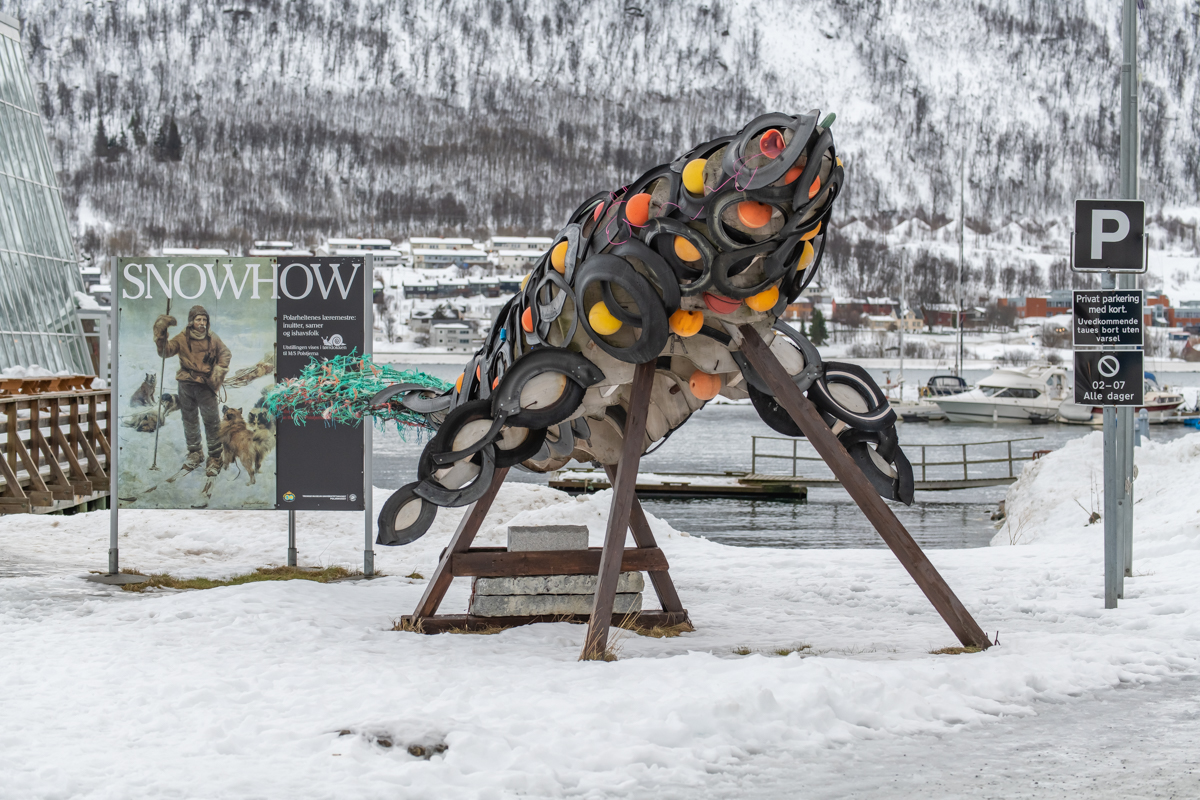 200208 Tromsø-20.jpg
