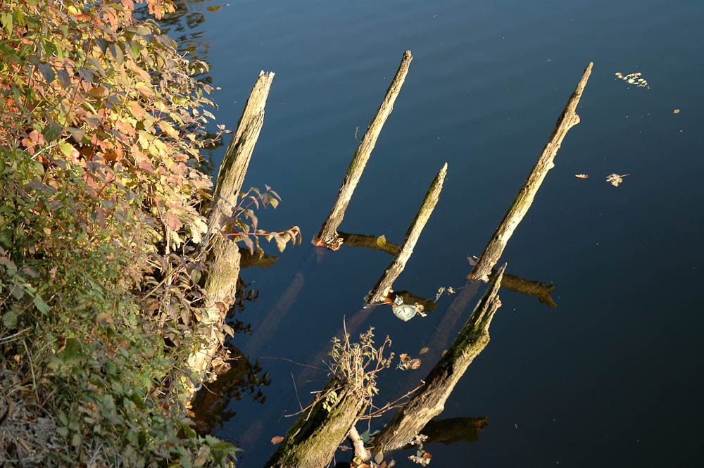 2005 10 18 17 03 56 1