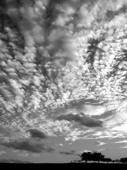 200509270002 - Bäume und Wolken