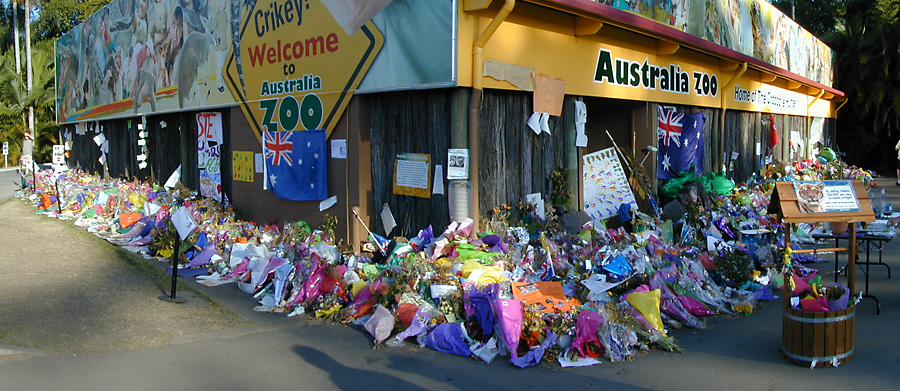 2006