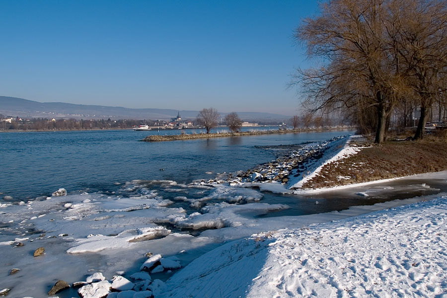 200601297132 - Die Mündung der Selz in den Rhein bei Ingelheim.