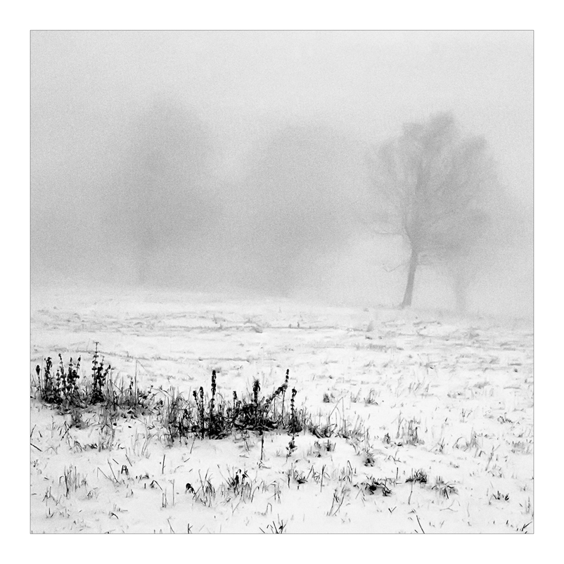 2007 Halde b&amp;w square 009