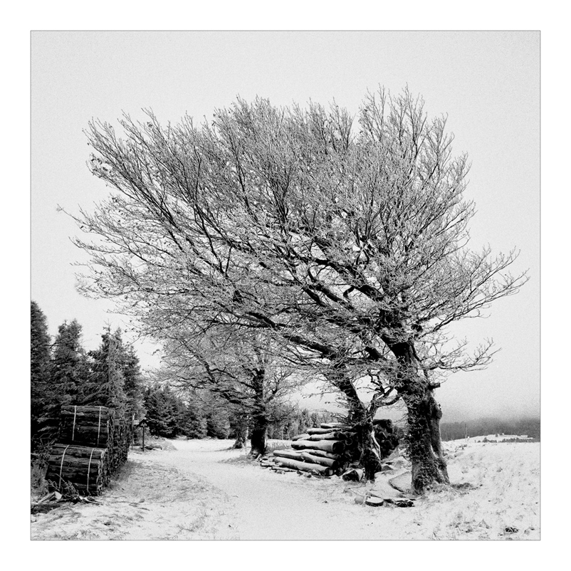 2007 Halde b&amp;w square 012