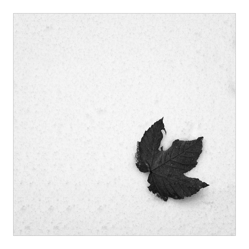 2007 Halde b&amp;w square 032